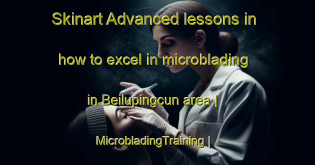 Skinart Advanced lessons in how to excel in microblading in Beilupingcun area | MicrobladingTraining | MicrobladingClasses | SkinartTraining-China